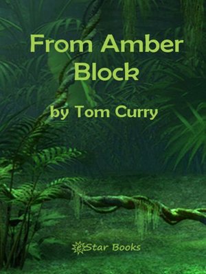 cover image of From Amber Block